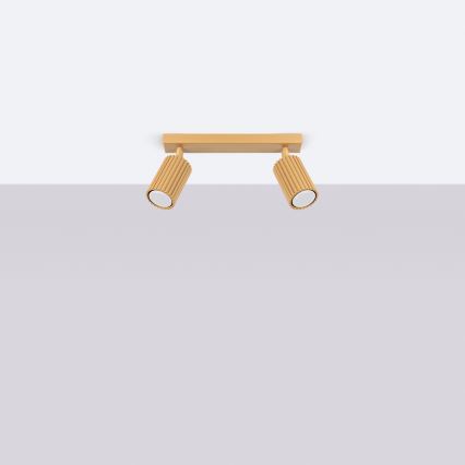 Brilagi - LED taškinis šviestuvas CRESTO 2xGU10/10W/230V auksinis