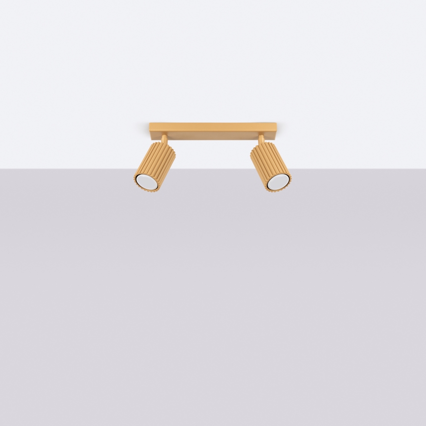 Brilagi - LED taškinis šviestuvas CRESTO 2xGU10/10W/230V auksinis