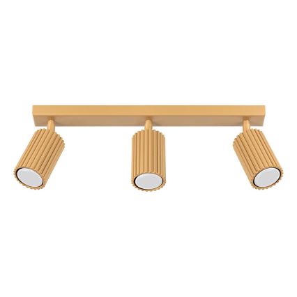 Brilagi - LED taškinis šviestuvas CRESTO 3xGU10/10W/230V auksinis