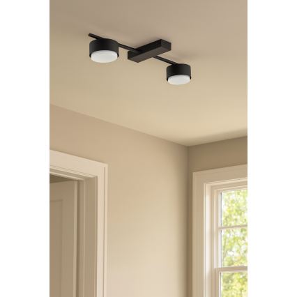 Brilagi - LED taškinis šviestuvas MONO 2xGX53/12W/230V juodas