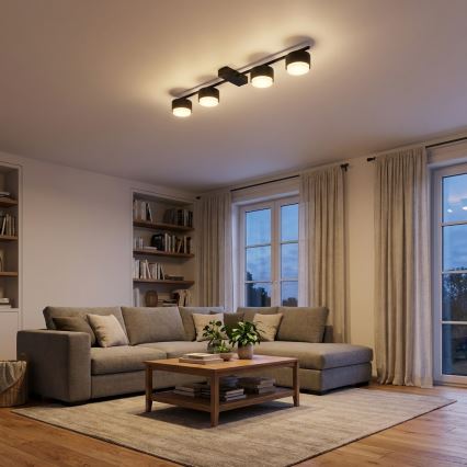 Brilagi - LED taškinis šviestuvas MONO 4xGX53/12W/230V juodas