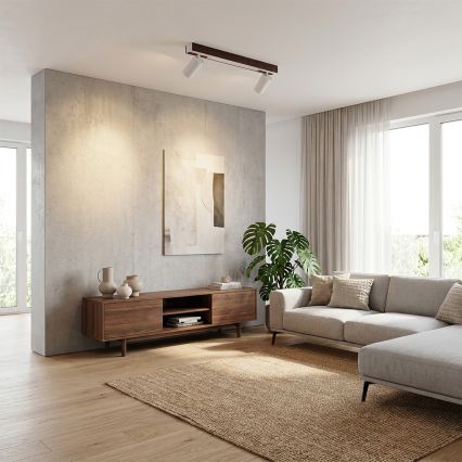 BRILAGI - LED taškinis šviestuvas SELE 2xGU10/30W/230V + LED/15W baltas/vyšnių dekoras