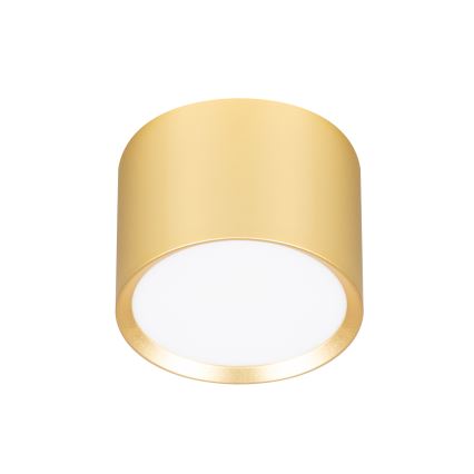 BRILAGI - LED taškinis šviestuvas SMOOTH 1xGX53/15W/230V 60x82 mm aukso spalvos