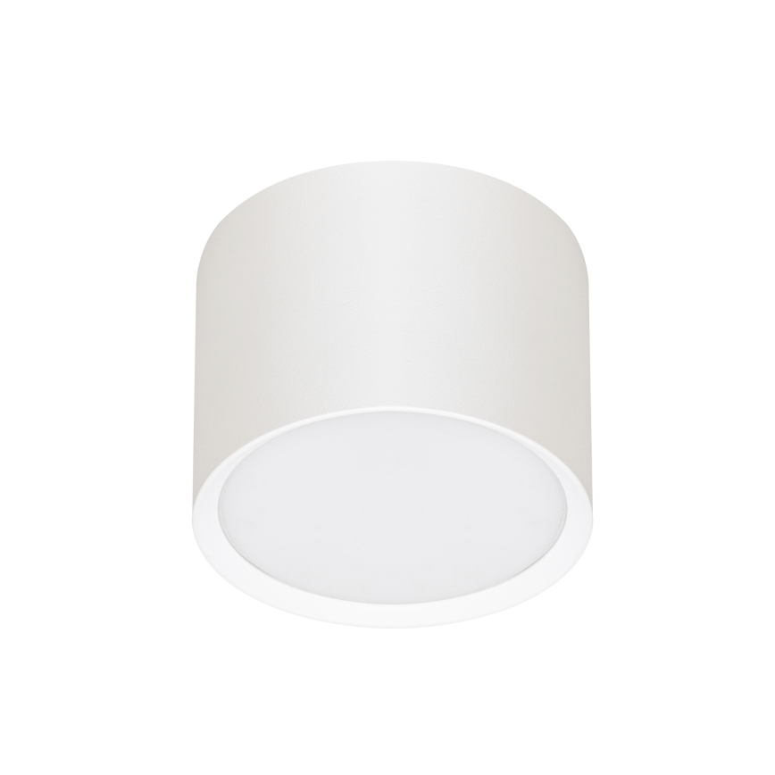 BRILAGI - LED taškinis šviestuvas SMOOTH 1xGX53/15W/230V 60x82 mm baltas