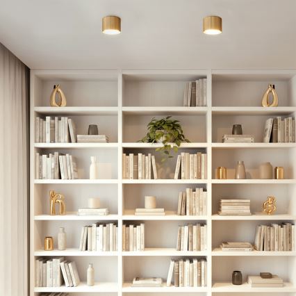 Brilagi - LED taškinis šviestuvas STRIPY 1xGX53/15W/230V, auksinis