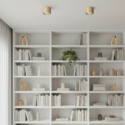 Brilagi - LED taškinis šviestuvas STRIPY 1xGX53/15W/230V, auksinis