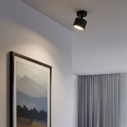 Brilagi - LED Taškinis šviestuvas STRIPY 1xGX53/15W/230V juodas