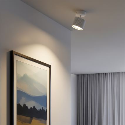 BRILAGI - LED Taškinis šviestuvas STRIPY 1xGX53/15W/230V pr. 82 mm baltas