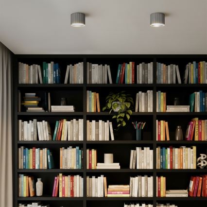 Brilagi - LED Taškinis šviestuvas STRIPY 1xGX53/15W/230V sidabrinis