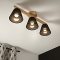 Brilagi - LED  Tvirtinamas sietynas ANTHONY 3xE14/40W/230V ąžuolas/juoda