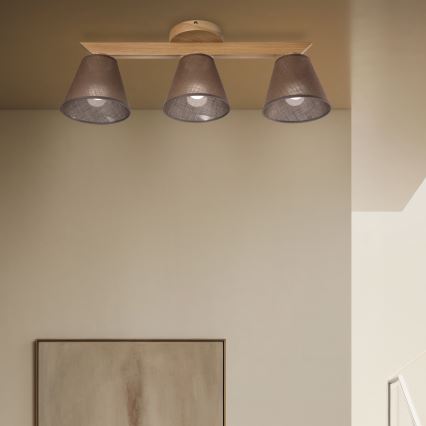 Brilagi - LED  Tvirtinamas sietynas ANTHONY 3xE14/40W/230V ąžuolas/ruda