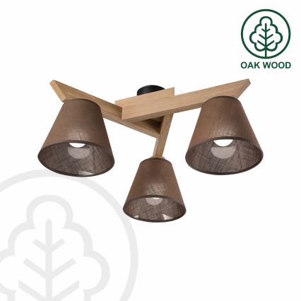 Brilagi - LED  Tvirtinamas sietynas ANTHONY 3xE14/40W/230V ąžuolas/ruda