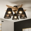 Brilagi - LED  Tvirtinamas sietynas ANTHONY 5xE14/40W/230V ąžuolas/juoda