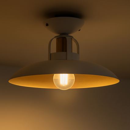 Brilagi - LED Tvirtinamas sietynas FLAMENGO 1xE27/60W/230V balta