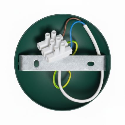 Brilagi - LED Tvirtinamas sietynas FLAMENGO 1xE27/60W/230V žalia