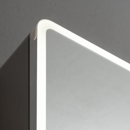 BRILAGI - LED veidrodinė vonios spintelė su apšvietimu AVOLA SINGLE 55x70 cm