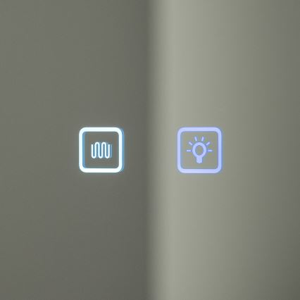 BRILAGI - LED veidrodinė vonios spintelė su apšvietimu AVOLA SINGLE 55x70 cm