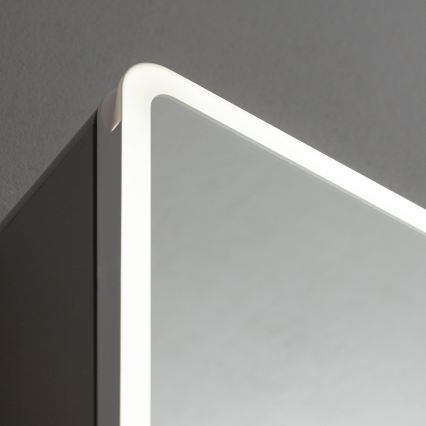BRILAGI - LED veidrodinė vonios spintelė su apšvietimu BRONTE DOUBLE 60x75 cm