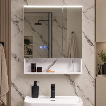 BRILAGI - LED veidrodinė vonios spintelė su apšvietimu TRABIA DOUBLE 60x70 cm