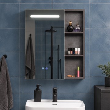 BRILAGI - LED veidrodinė vonios spintelė su apšvietimu TRABIA SINGLE 60x70 cm
