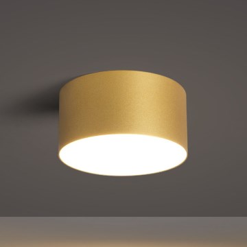 BRILAGI - LED vonios kambario lubinis šviestuvas FORIS LED/14W/230V skersmuo 12 cm auksinis IP44