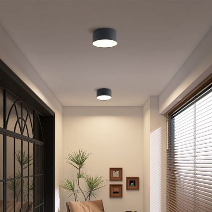 Brilagi - LED vonios kambario lubinis šviestuvas FORIS LED/14W/230V ø 12 cm juodas IP44