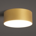BRILAGI - LED Vonios kambario lubinis šviestuvas FORIS LED/20W/230V skersmuo 15 cm auksinis IP44