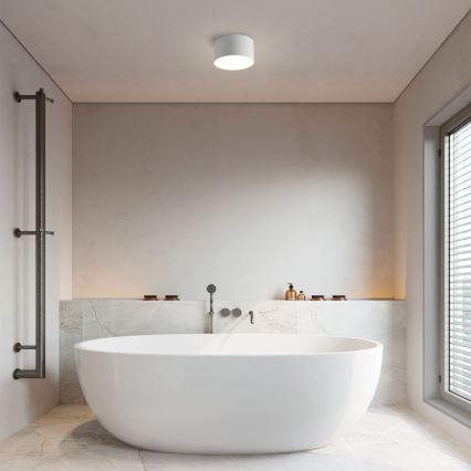 Brilagi - LED vonios kambario lubinis šviestuvas FORIS LED/9W/230V skers. 9 cm balta IP44