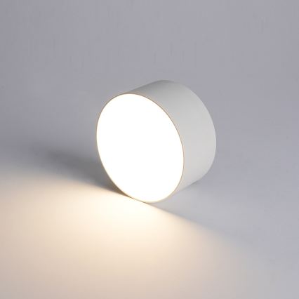 Brilagi - LED vonios kambario lubinis šviestuvas FORIS LED/9W/230V skers. 9 cm balta IP44