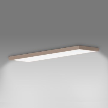 Brilagi - LED vonios kambario lubinis šviestuvas FRAME LED/50W/230V 120x30 cm IP44 smėlio spalvos
