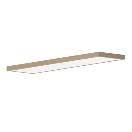 Brilagi - LED vonios kambario lubinis šviestuvas FRAME LED/50W/230V 120x30 cm IP44 smėlio spalvos