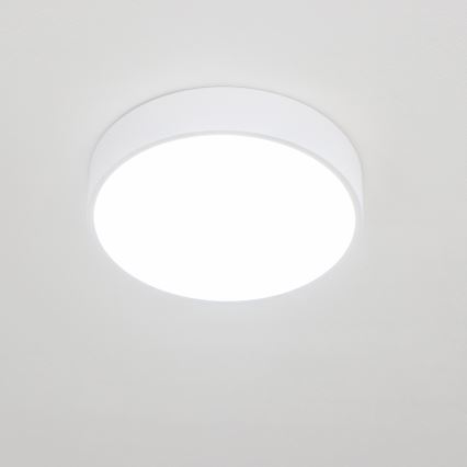Brilagi - vonios kambario LED lubinis šviestuvas POOL LED/24W/230V 3000/4000/5500K, Ø 30 cm, IP54, balta