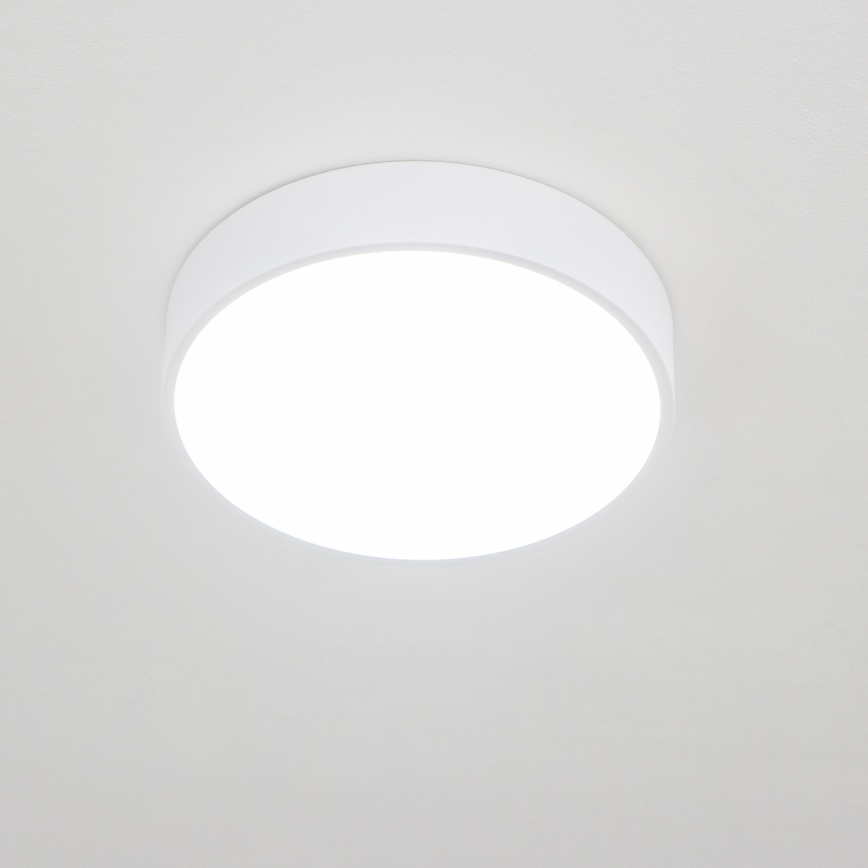 Brilagi - vonios kambario LED lubinis šviestuvas POOL LED/24W/230V 3000/4000/5500K, Ø 30 cm, IP54, balta