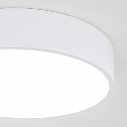 Brilagi - vonios kambario LED lubinis šviestuvas POOL LED/24W/230V 3000/4000/5500K, Ø 30 cm, IP54, balta