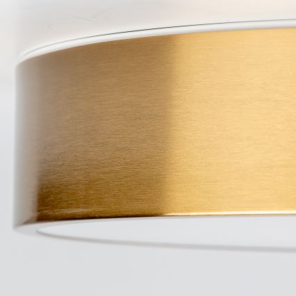 Brilagi - LED lubinis vonios kambario šviestuvas POOL LED/24W/230V 3000/4000/5500K Ø 30 cm IP54 bronzinis