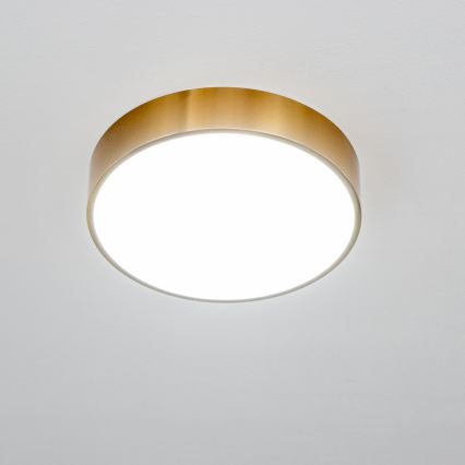 Brilagi - LED lubinis vonios kambario šviestuvas POOL LED/24W/230V 3000/4000/5500K Ø 30 cm IP54 bronzinis