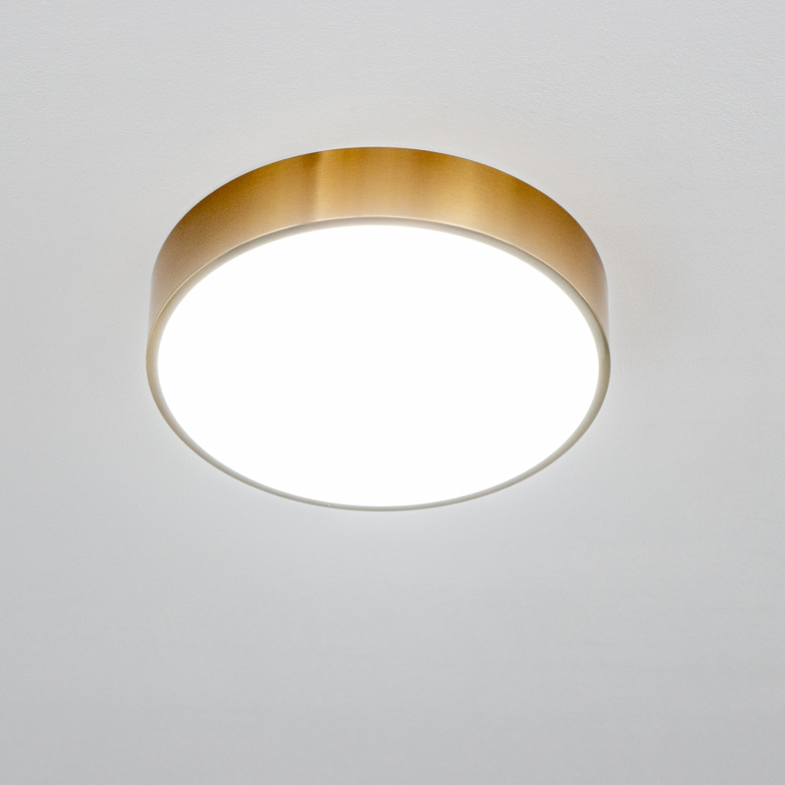 Brilagi - LED lubinis vonios kambario šviestuvas POOL LED/24W/230V 3000/4000/5500K Ø 30 cm IP54 bronzinis