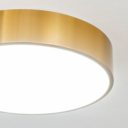Brilagi - LED lubinis vonios kambario šviestuvas POOL LED/24W/230V 3000/4000/5500K Ø 30 cm IP54 bronzinis