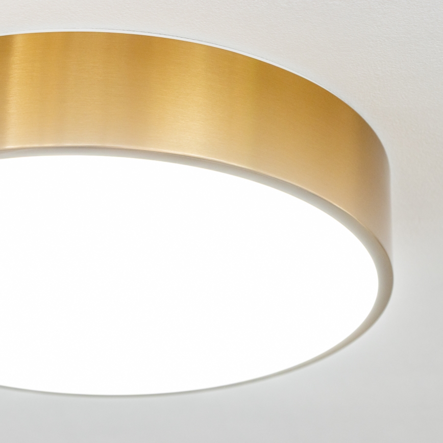Brilagi - LED lubinis vonios kambario šviestuvas POOL LED/24W/230V 3000/4000/5500K Ø 30 cm IP54 bronzinis