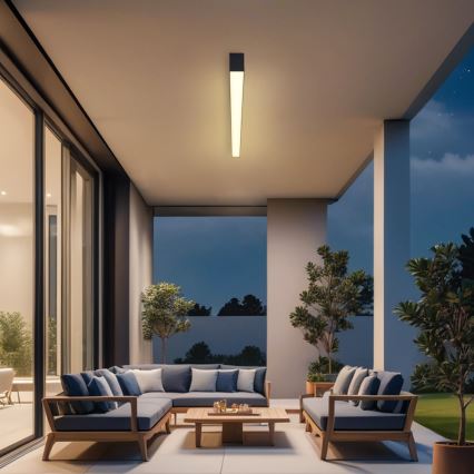 Brilagi - LED vonios kambario lubinis šviestuvas SLEEKLINE LED/40W/230V 3000/4500/6000K juodas IP44