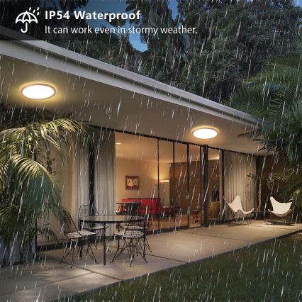 Brilagi - LED vonios kambario lubinis šviestuvas ULTRA SLIM LED/12W/230V, skersmuo 22,5 cm, rožinio aukso spalvos, IP54