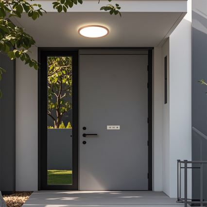 Brilagi - LED vonios kambario lubinis šviestuvas ULTRA SLIM LED/12W/230V, skersmuo 22,5 cm, rožinio aukso spalvos, IP54