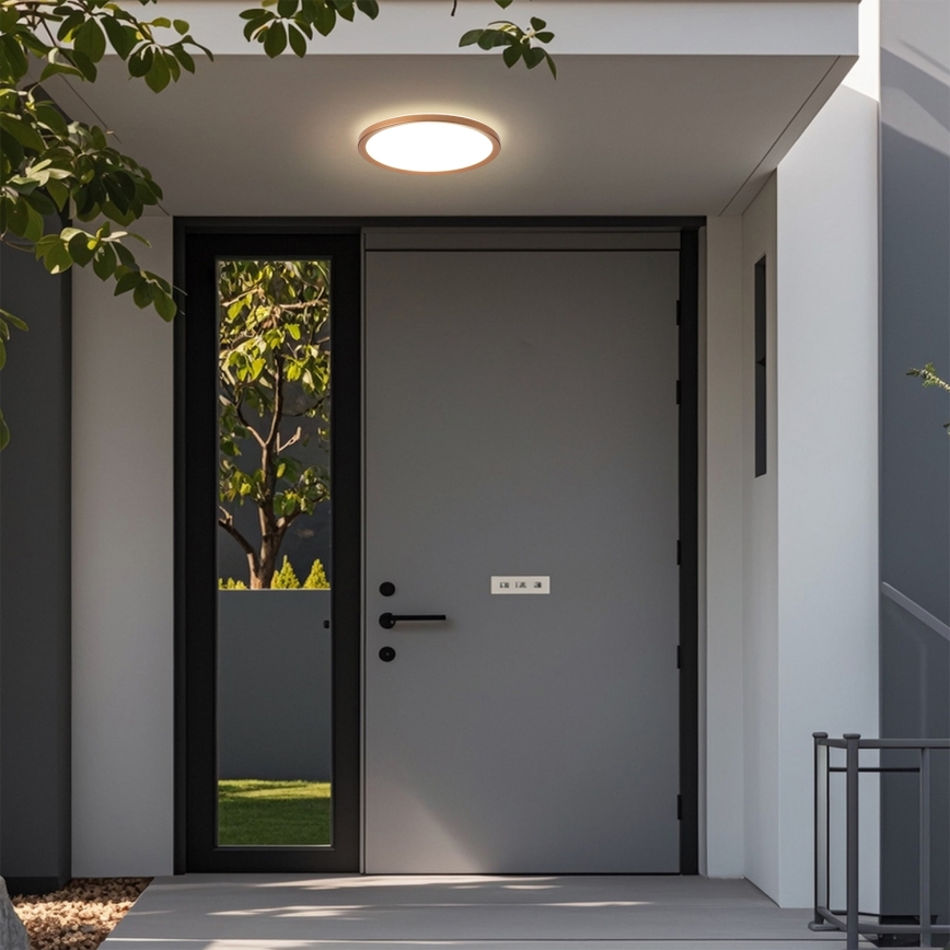 Brilagi - LED vonios kambario lubinis šviestuvas ULTRA SLIM LED/12W/230V, skersmuo 22,5 cm, rožinio aukso spalvos, IP54