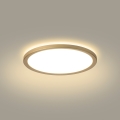 Brilagi - LED vonios kambario lubinis šviestuvas ULTRA SLIM LED/12W/230V skersmuo 22,5 cm auksinis IP54