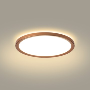 Brilagi - LED vonios kambario lubinis šviestuvas ULTRA SLIM LED/12W/230V, skersmuo 22,5 cm, rožinio aukso spalvos, IP54