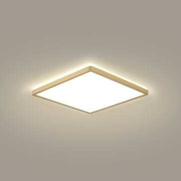 Brilagi - LED vonios kambario lubinis šviestuvas ULTRA SLIM LED/18W/230V 30x30 cm auksinė IP54