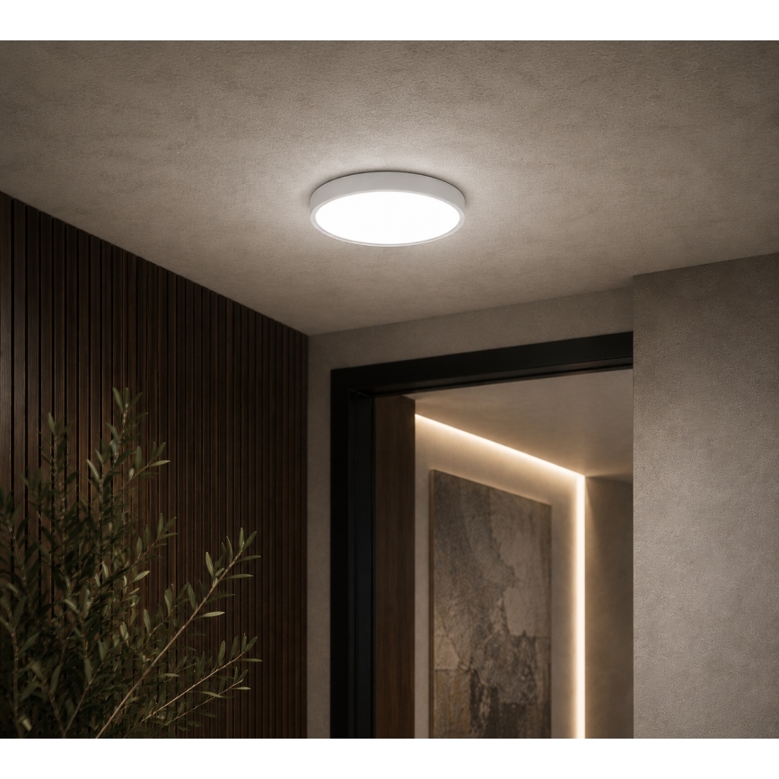 BRILAGI - LED vonios kambario lubinis šviestuvas ZENNA LED/12W/230V skersm. 25 cm IP44 balta