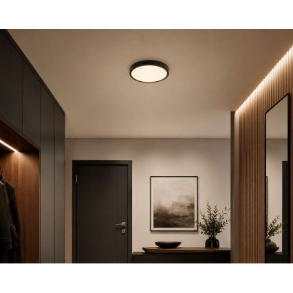 BRILAGI - LED vonios kambario lubinis šviestuvas ZENNA LED/18W/230V skersmuo 29,5 cm IP44 juodas