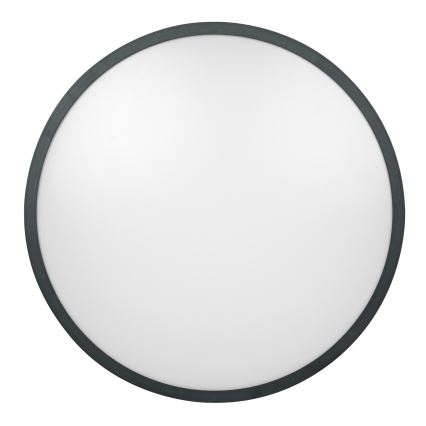 Brilagi - LED vonios kambario lubinis šviestuvas ZENNA LED/24W/230V 34,5x34,5 cm IP44 antracitas