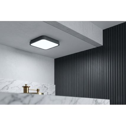 BRILAGI - LED vonios kambario lubinis šviestuvas ZENNA LED/24W/230V 34,5x34,5 cm IP44 antracitas